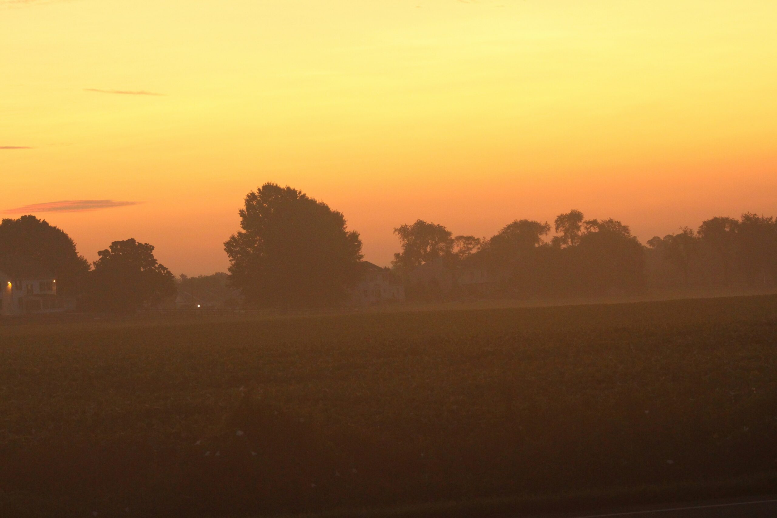The sun rising over a field of grass